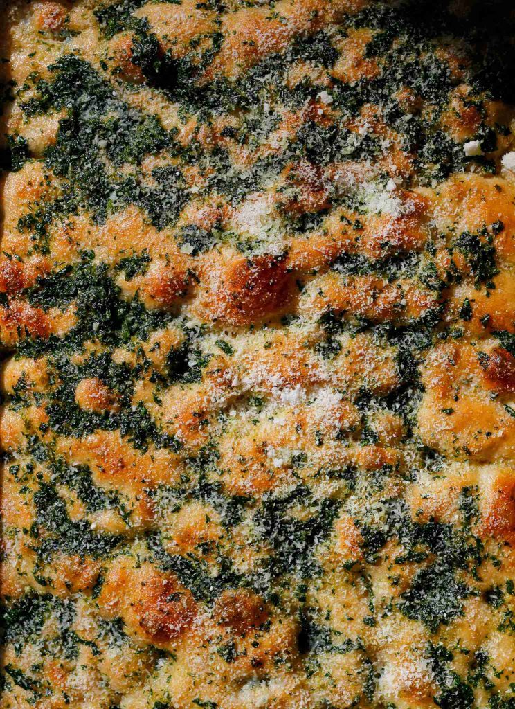 گیاه سیر فوکاچیا